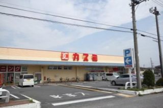 フードマーケットカスミ花崎店　徒歩１７分（約1300ｍ）