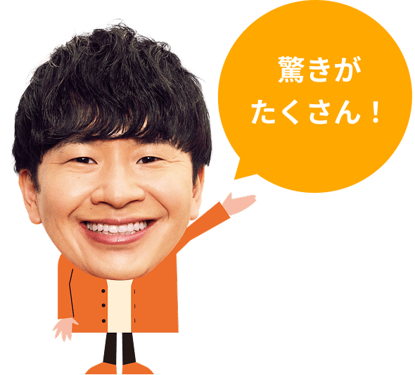 驚きがたくさん